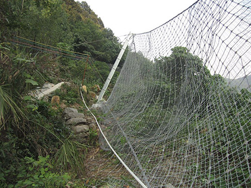 被動防護(hù)網(wǎng)圖片3